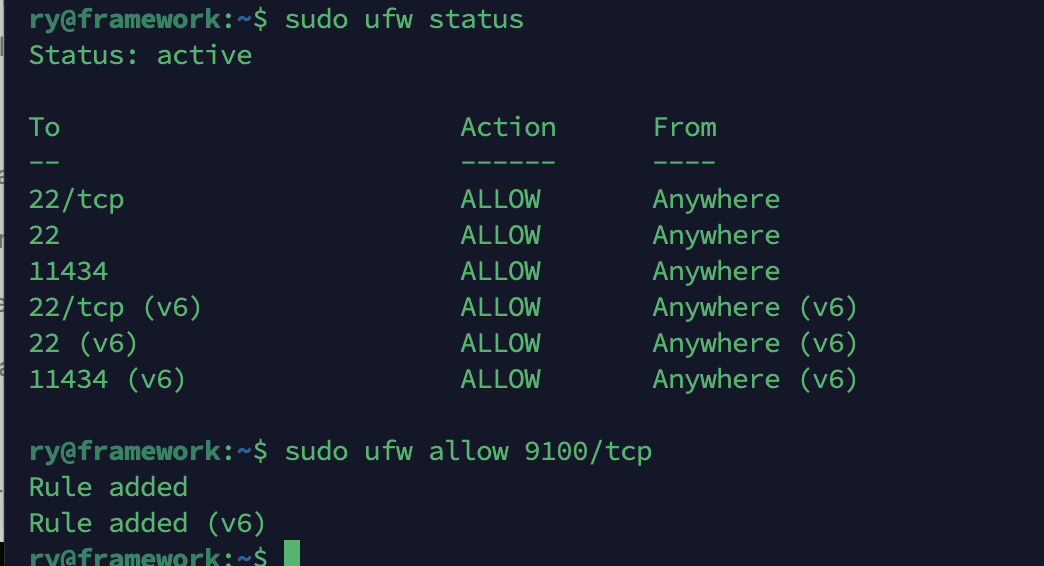 terminal showing the ufw command allowing port 9100