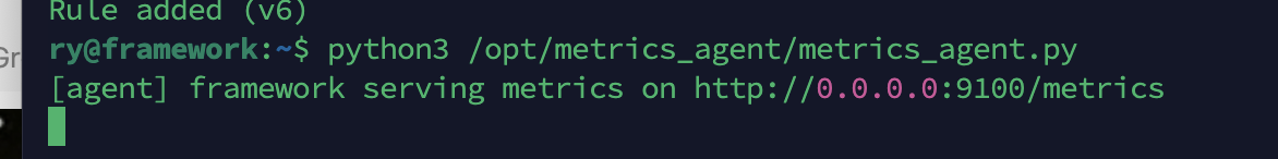 terminal showing the agent script running with output