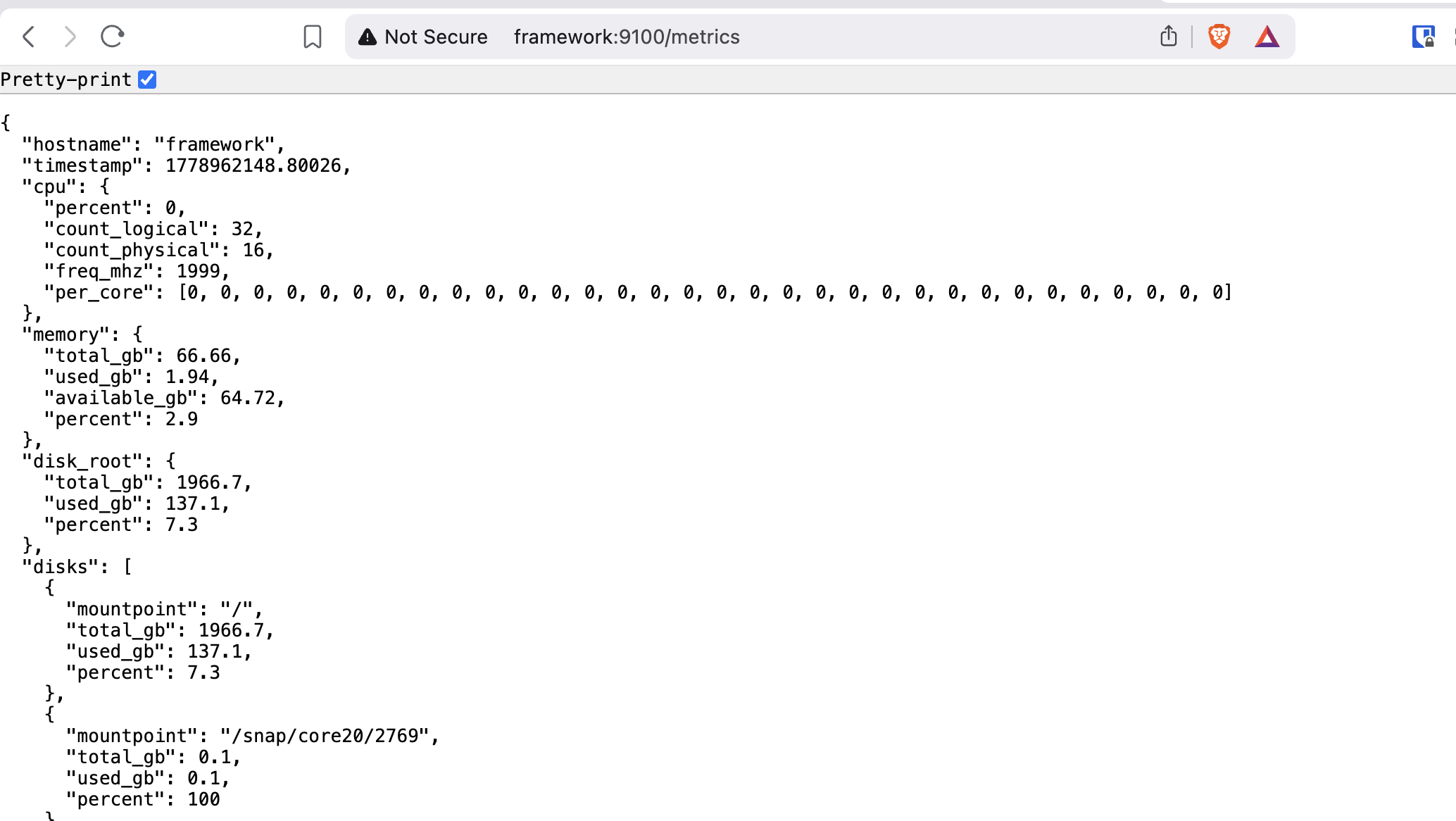 browser showing the raw metrics JSON response from the agent