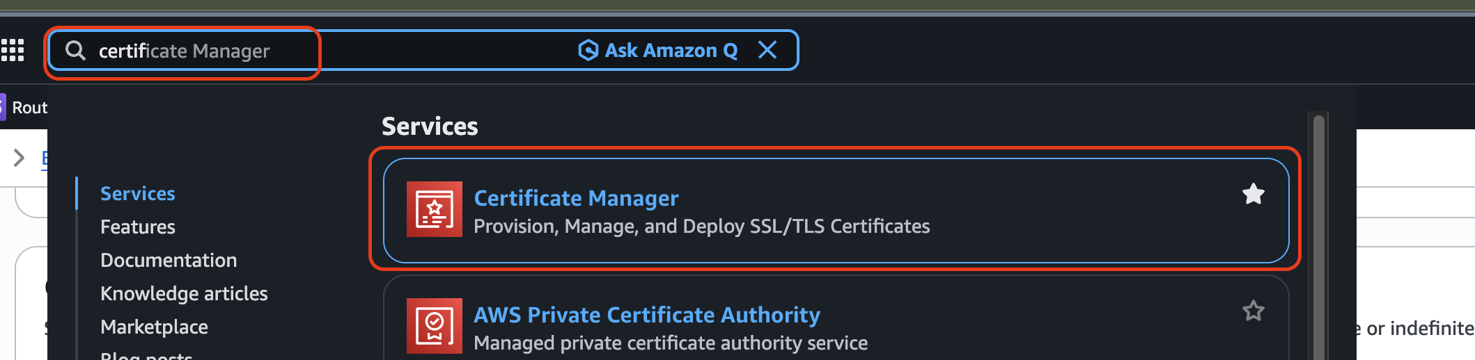 screenshot showing cerficate manager option
